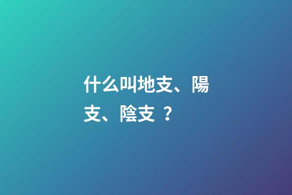 什么叫地支、陽支、陰支？